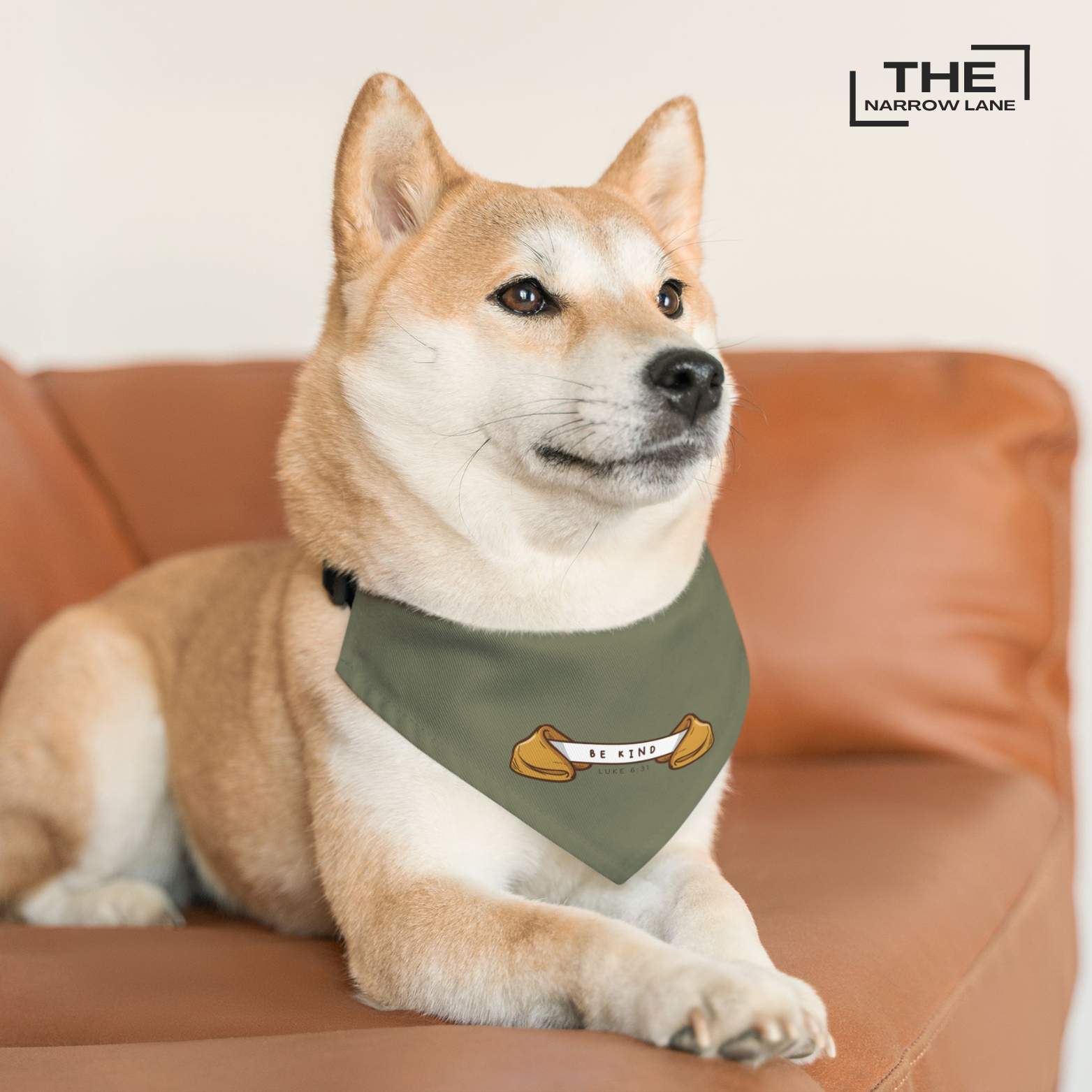 Be Kind Pet Bandana Collar Olive Green | Luke 6:31