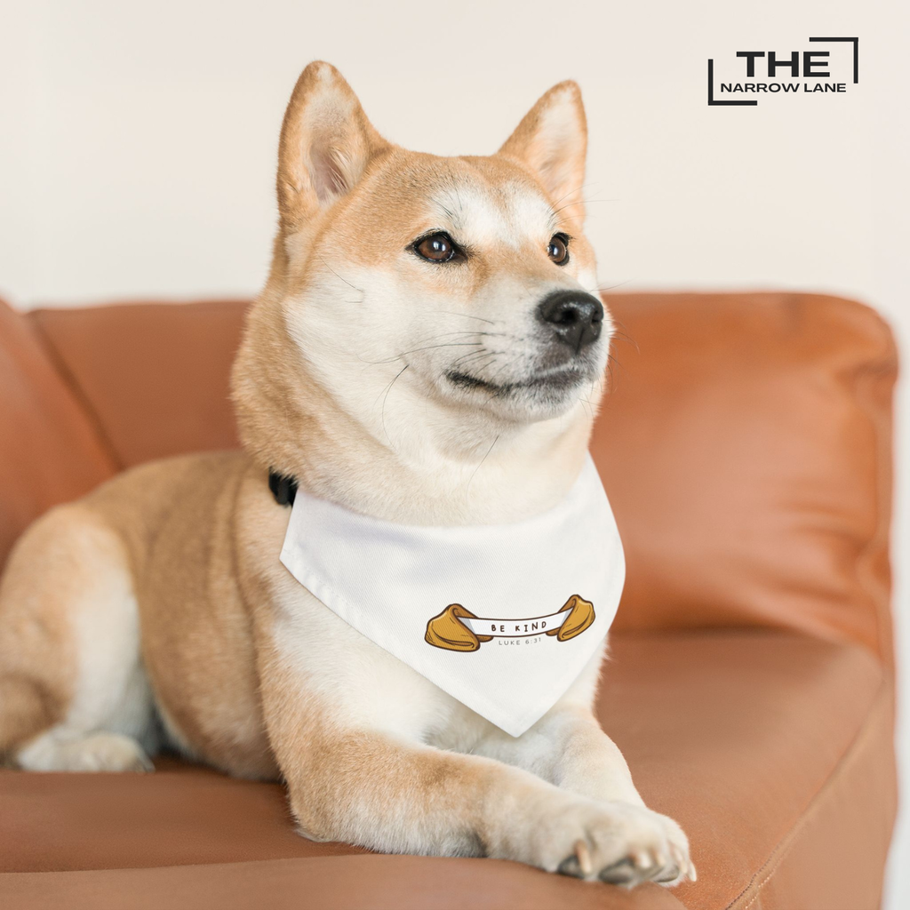 Be Kind Pet Bandana Collar | Luke 6:31