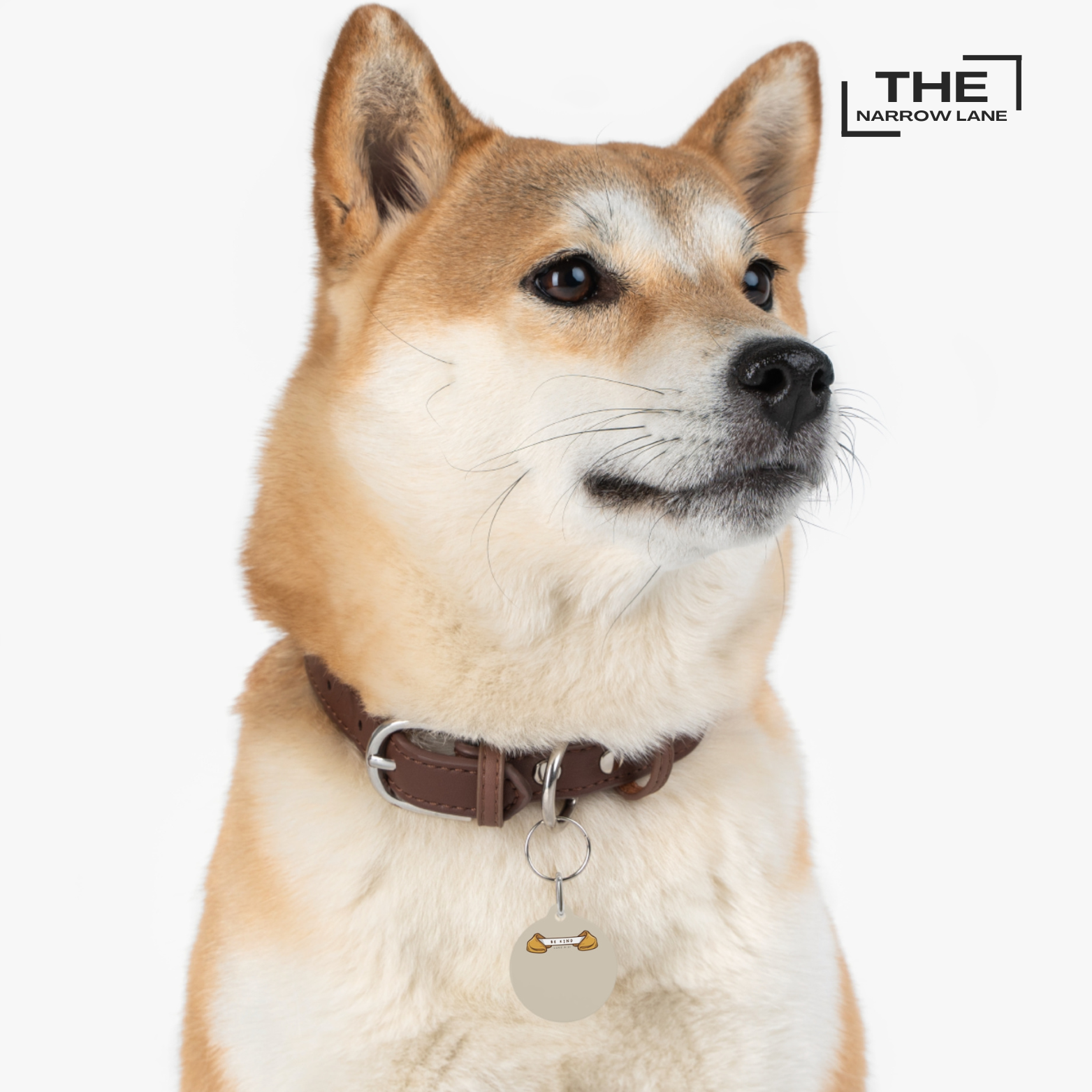 Be Kind Pet Tag | Luke 6:31