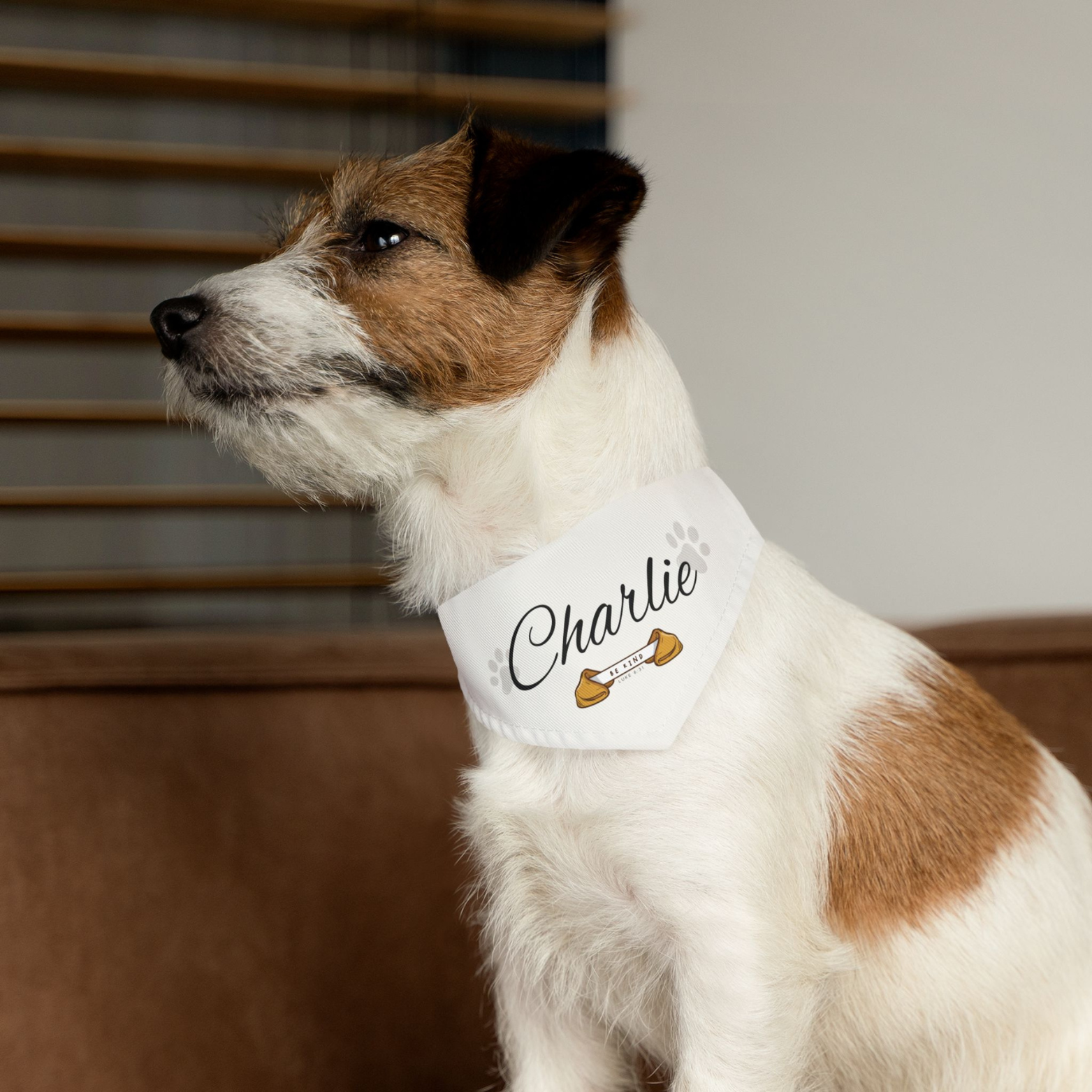 Be Kind Pet Bandana Collar | Luke 6:31